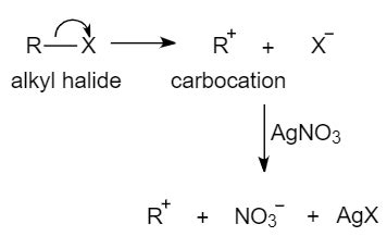 silver nitrate test positive result|Reaction of Alkyl Halides with Silver Nitrate .